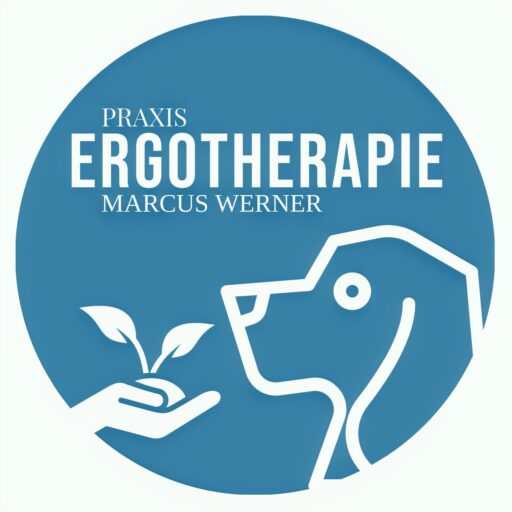 praxisergotherapie-ilmenau.de